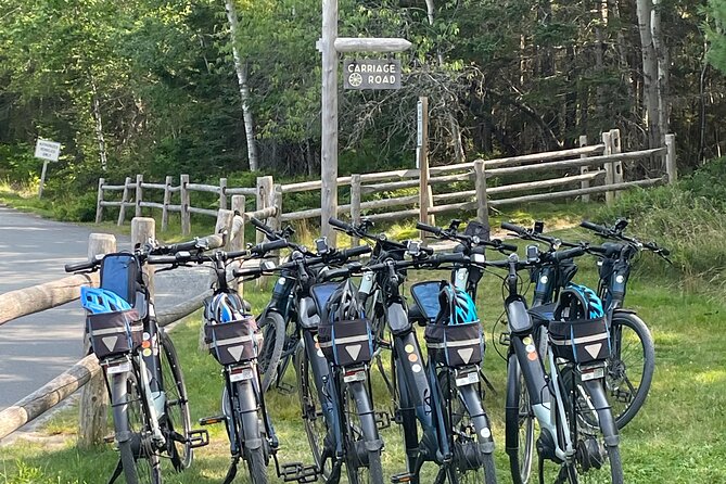 Guided Ebike Tour of Acadia National Park Carriage Roads - Highlights and Scenery
