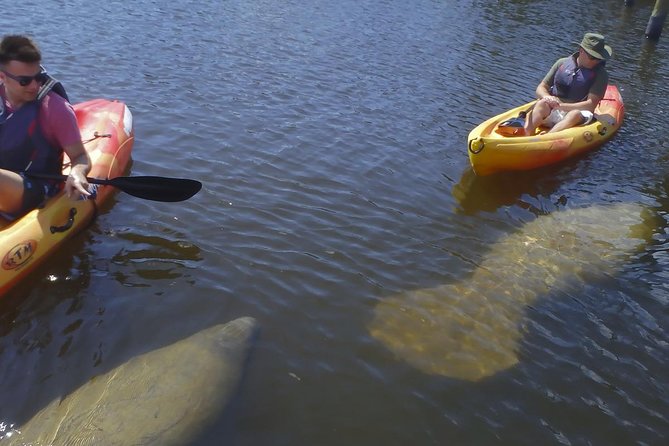 Guided Kayak Eco Tour - Bunche Beach - Meeting Point and Accessibility