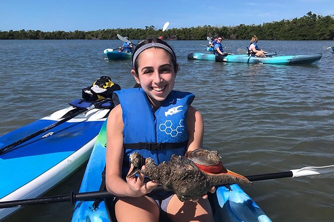 Guided Kayak Mangrove Ecotour in Rookery Bay Reserve, Naples - Wildlife Encounters