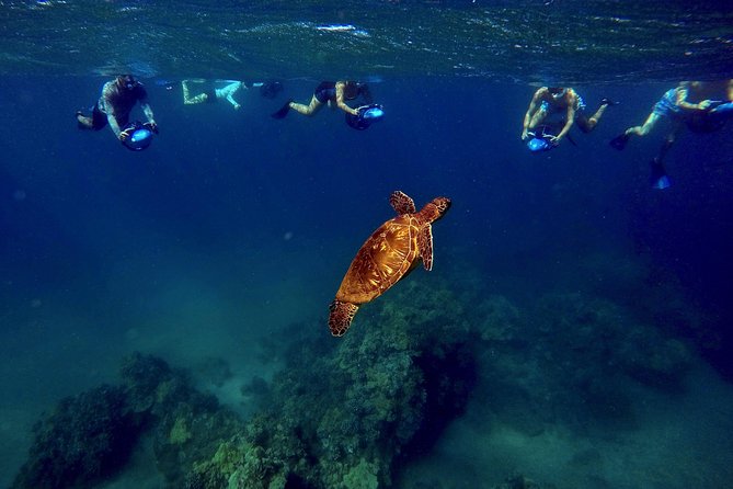 Guided Sea Scooter Snorkeling Tour Wailea Beach - Highlights of the Tour