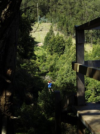 Haleakala 6 Line Zipline Adventure - Participant Requirements