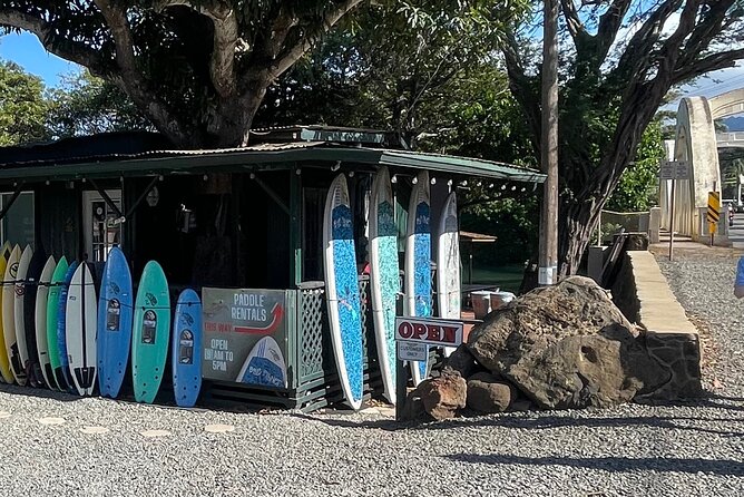 Haleiwa River Paddle Board Rental With Blue Planet Adventure Co. - Customer Reviews and Feedback