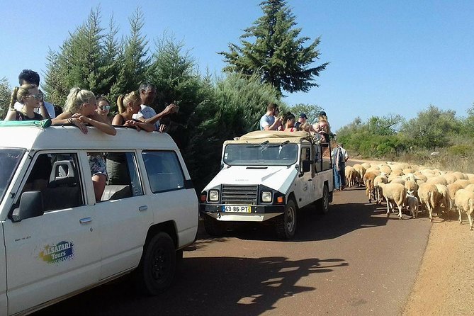 Half-Day Algarve Countryside and Villages Jeep Safari - Inclusions and Exclusions