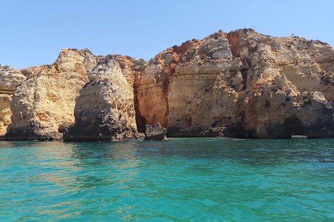 Half Day Cruise to Ponta Da Piedade With Lunch and Drinks - Guest Reviews