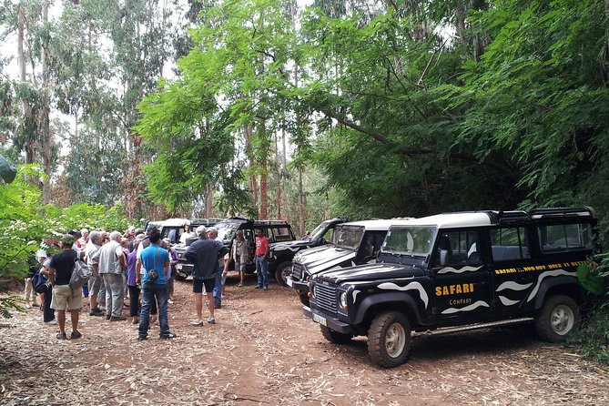 Half-Day Small-Group Madeira Village Safari From Funchal - Tour Inclusions and Logistics