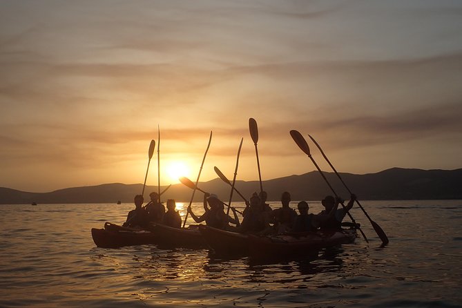 Half-Day Split Sea Kayak Adventure - Participant Requirements and Accessibility