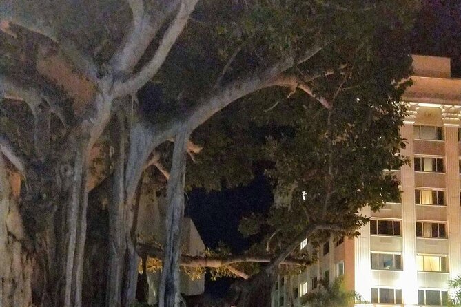 Haunted History of Fort Myers Walking Tour - Practical Details and Logistics