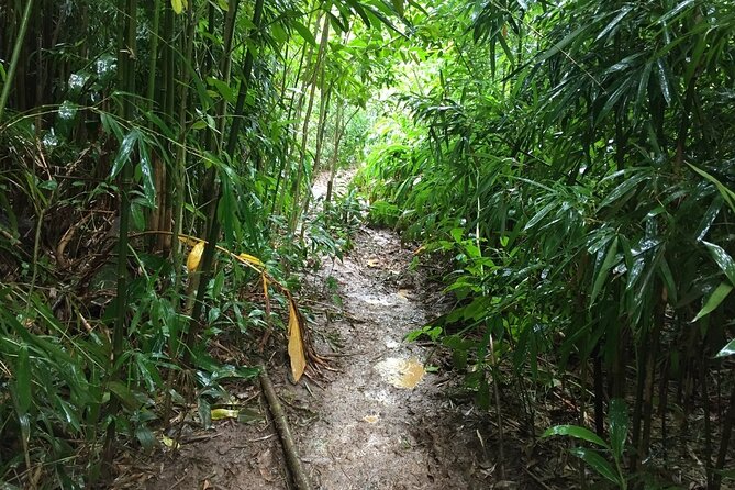 Hike Trail to Waterfall & Nature Walk - Tour Inclusions
