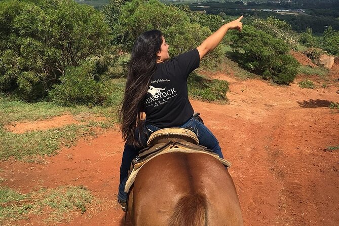 Horseback Ride Like an Authentic Paniolo in Kahuku - Reviews and Feedback