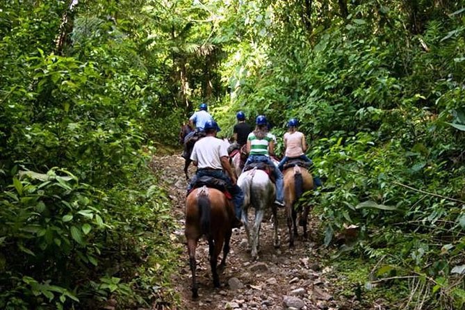 Horseback Riding to Conchal Beach From Tamarindo & Flamingo - Suggestions for Guide Engagement