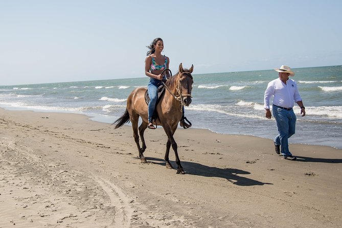 Horseback Riding Tour in Beach of Cartagena - Safety and Health Considerations