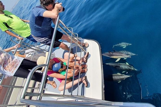 Incredible Dolphin Watching Experience on Our Family Friendly Catamaran - Lagos - Accessibility and Suitability for All