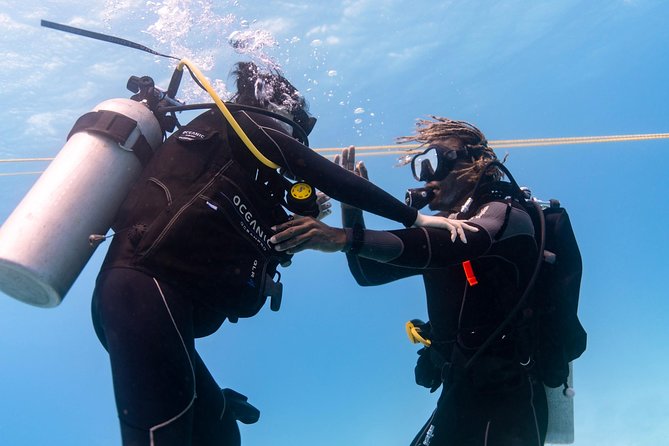 Incredibly Fun 2-Tank Coral Reef South Shore Boat Dive in Oahu From Waikiki - Customer Reviews and Feedback