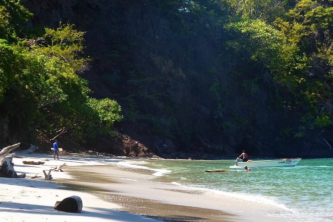 Isla Tortuga Snorkeling Tour - Snorkeling Experience