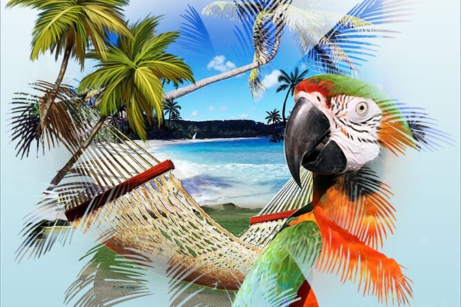 Jimmy Buffett Tour - Accessibility and Fitness Level