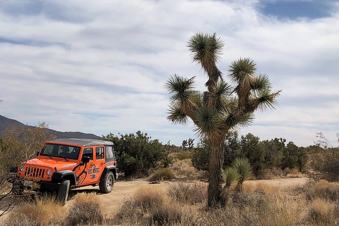 Joshua Tree National Park Offroad Tour - Immerse Yourself in the Parks Geology