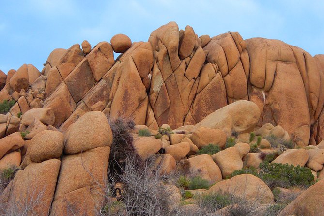 Joshua Tree National Park Scenic Tour - Transportation and Inclusions