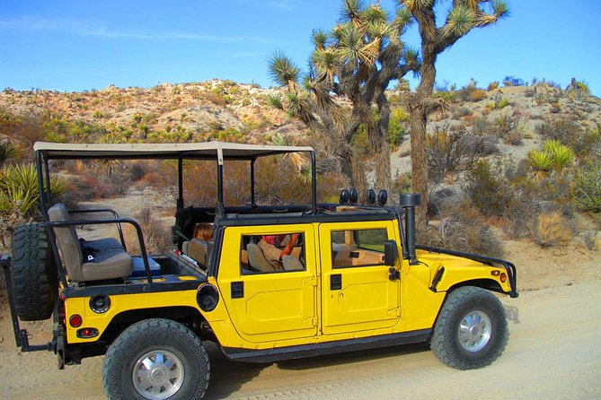 Joshua Tree Open Air Hummer Adventure - Wildlife and Scenic Highlights