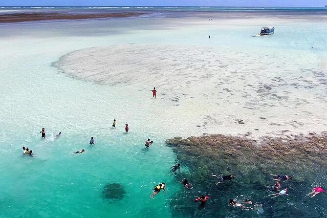 Kaneohe Sandbar Snorkeling Tour, 2nd Tour - Included Amenities