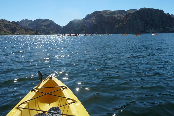 Kayaking 2 Hr Canyon & Cliffside on Saguaro Lake - Health and Safety Guidelines
