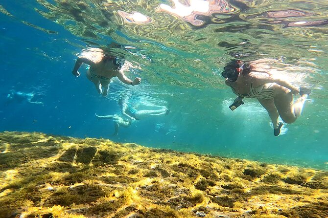 Kayaking Adventure Route With Snorkeling in Mogan Caves - Group Size and Transportation
