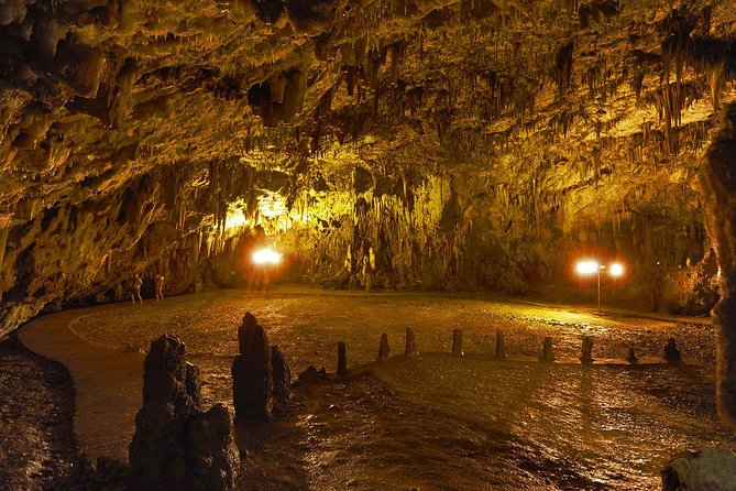 Kefalonia Island Bus Tour- Wine Tasting, Melissani & Fiscardo - Wine Tasting: Sampling Kefalonias Robola Wine