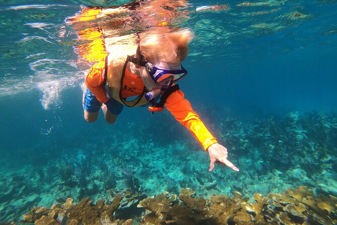 Key Largo Two Reef Snorkel Tour - All Snorkel Equipment Included! - Crew and Customer Feedback
