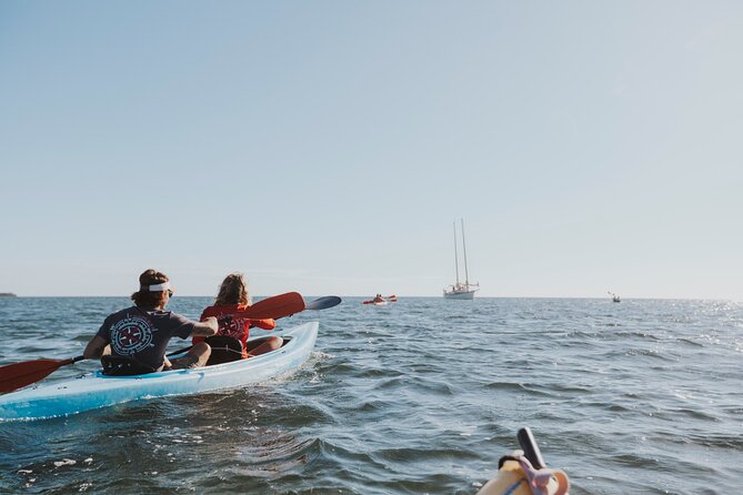 Key West Full-Day Ocean Adventure: Kayak, Snorkel, Sail - Kayaking Mangrove Canopies
