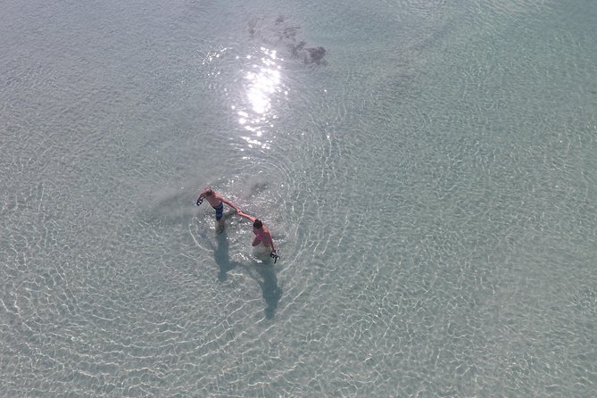 Key West Safari Eco Sandbar Tour Adventure With Snorkeling - Meeting Point and Logistics