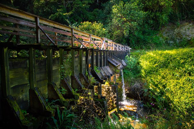 Kohala Waterfalls Small Group Adventure Tour - Scenic Landscapes
