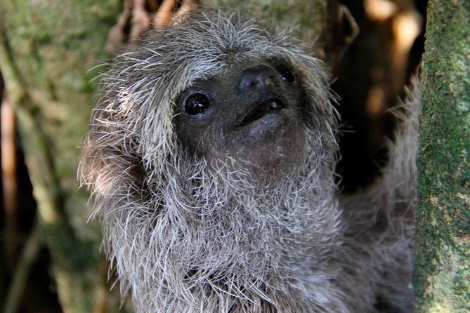 La Fortuna Birds, Butterfly Garden, Sloths Guided Tour 2hrs - Meeting and Pickup Details