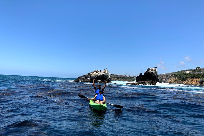 Laguna Beach Open Ocean Kayaking Tour With Sea Lion Sightings - Affordable Rates and Top-Rated Kayak Tours