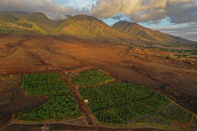 Lahaina: Maui Kuia Estate Guided Cacao Farm Tour and Tasting - The Chocolate Tasting Experience