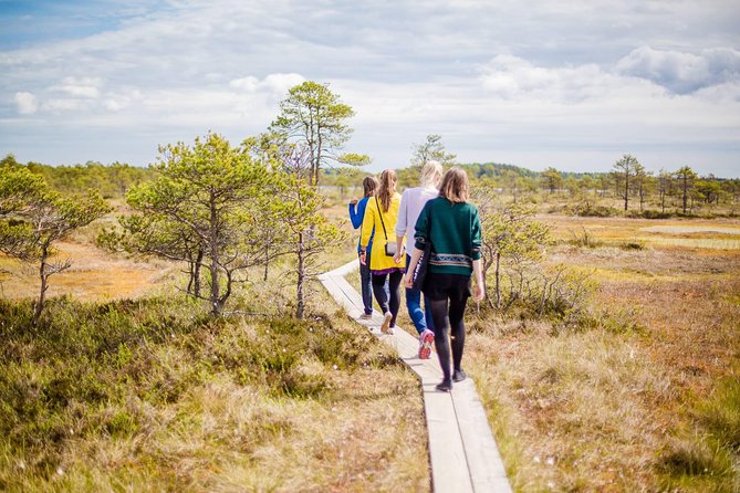 Lahemaa National Park Day Trip - Admiring the Scenic Waterfalls and Coastal Walks