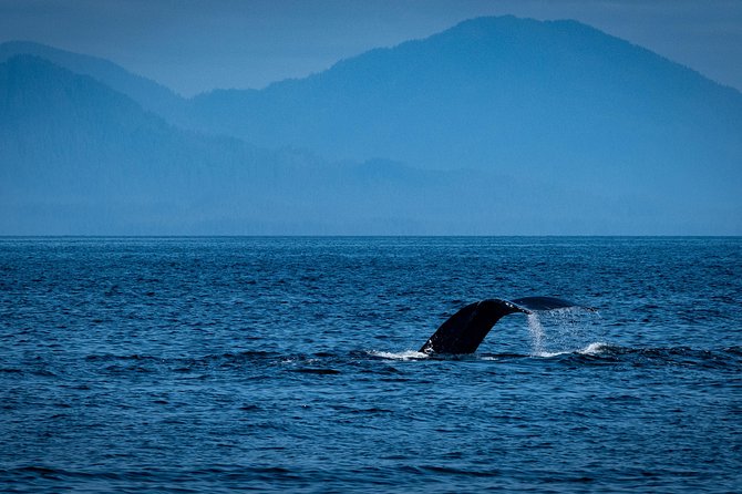 Lighthouse, Totems & Eagles Excursion - Booking Information