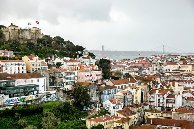 Lisbon Awakens: A Culinary Crossroads, Reborn. - Customer Feedback and Experiences