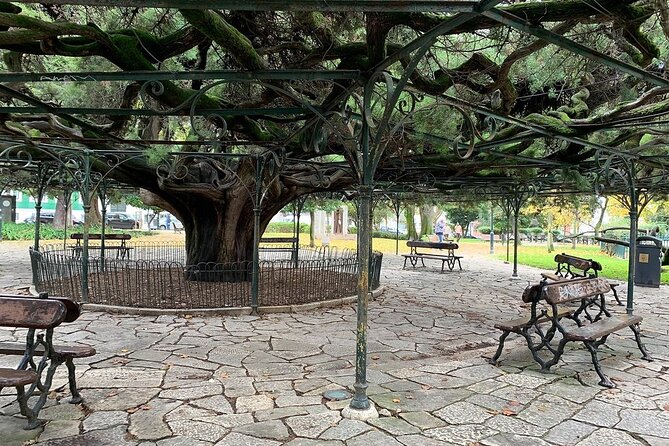 Lisbon - Small Group Walking Tour - Iconic Architecture and Hidden Gems