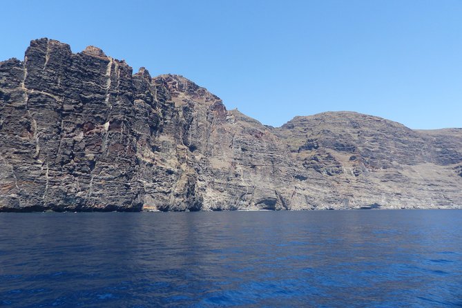 Los Gigantes Whale Watching Charter by Sail Boat - Customer Reviews and Experiences