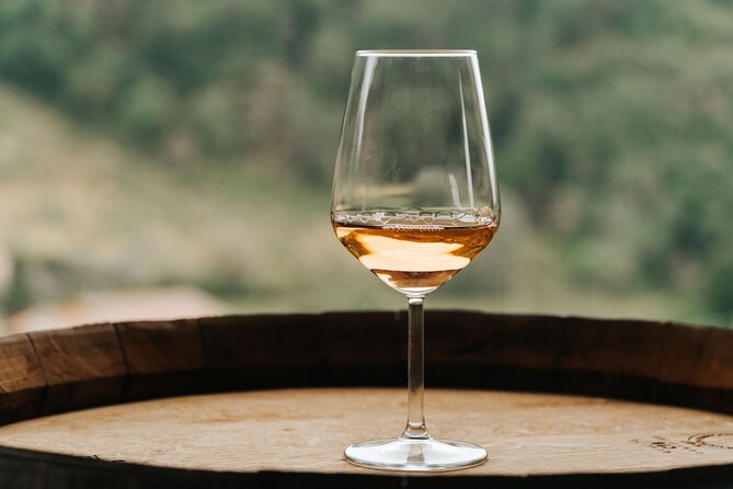 Lucca: Wine Tasting Experience - Tenuta Adamo Winery - Transportation and Accessibility