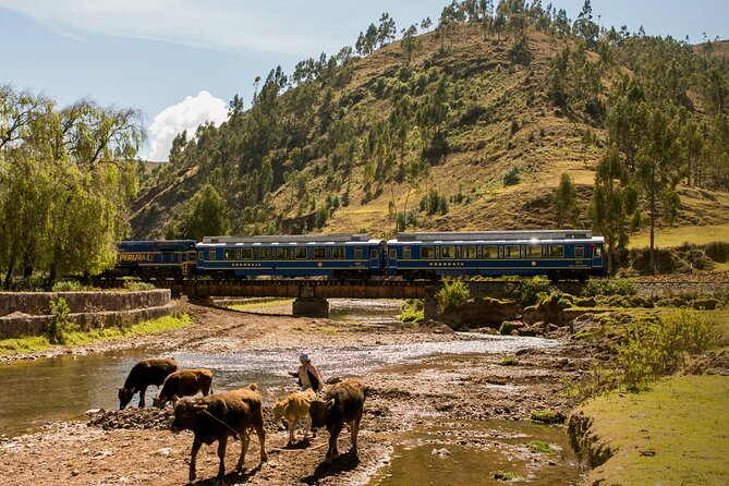 Machu Picchu Tour Full Day by Vistadome Train - Meeting and Pickup