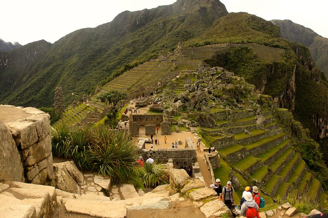 Machu Pichu Day Trip From Cusco With Peru Vip - Customer Feedback