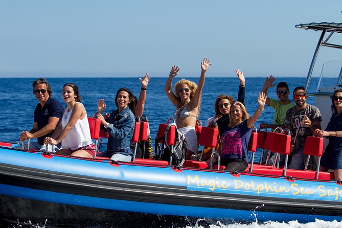 Magic Dolphin Sea Safaris - The Speedboat Tour Experience