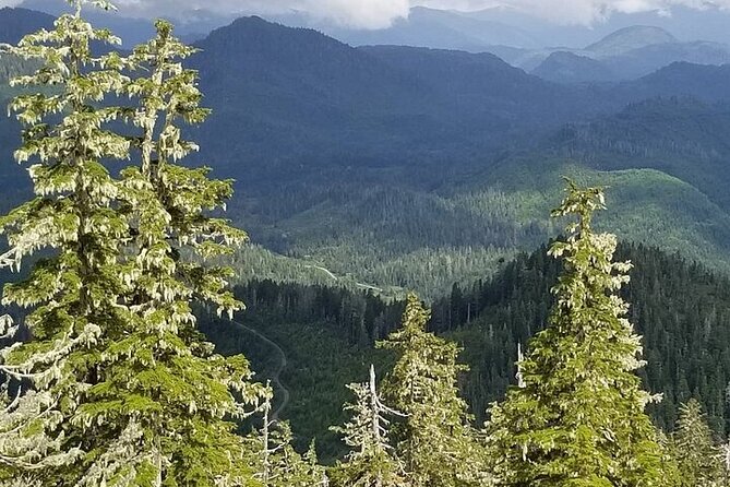 Mahoney Lake Off-Road UTV Tour - Photo Opportunities and Breathtaking Views