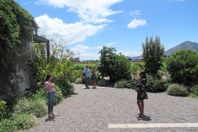 Maipo Valley Litle Wine Bus From Santiago - Guest Experiences and Reviews