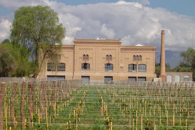 Maipú Wine-Tasting Tour From Mendoza Including Trapiche Winery - Trapiche Winery Tour and Tastings