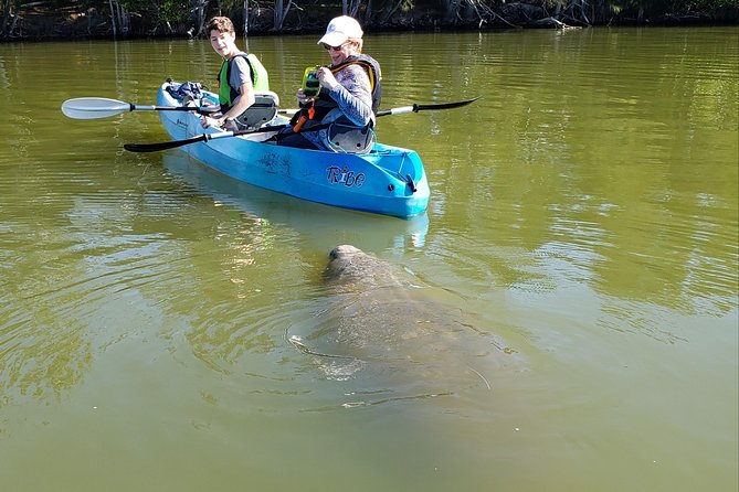 Manatee and Dolphin Kayaking | Haulover Canal (Titusville) - Inclusions and Pricing