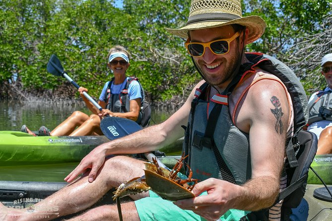 Mangrove Tunnels & Mudflats Kayak Tour - Local Biologist Guides - Wildlife Encounters