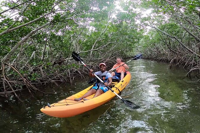 Mangroves and Manatees - Guided Kayak Eco Tour - Group Size and Pricing Details