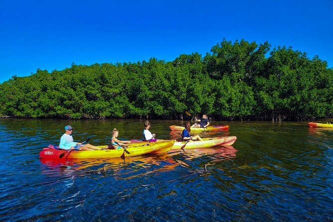 Mangroves, Manatees, and a Hidden Beach: Kayak Tour - Paddling Through Mangrove Tunnels