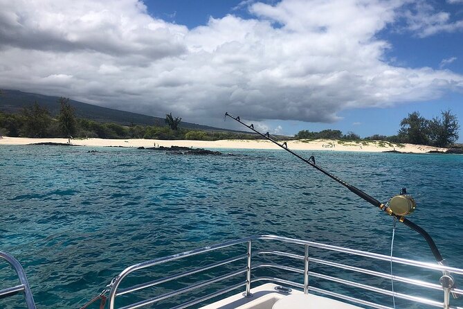Manta Ray Night Snorkel in Kona - Guest Experiences and Reviews